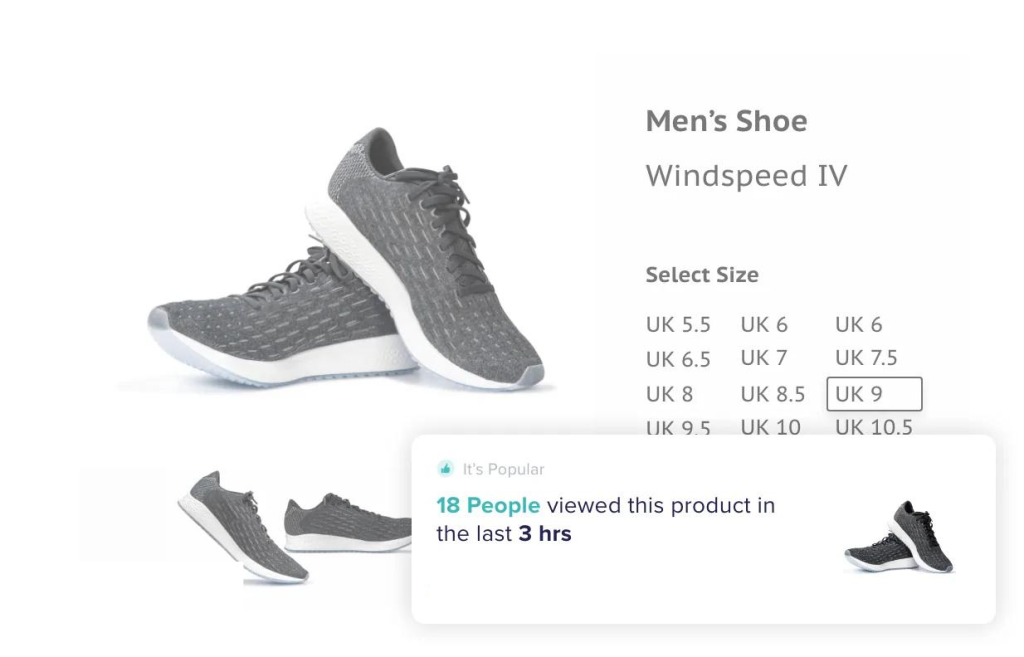 Turn Visitors To Buyers FOMO and Urgency Features